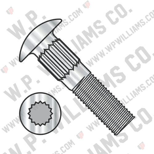 Ribbed Neck Carriage Bolt Fully Threaded 18 8 Stainless Steel