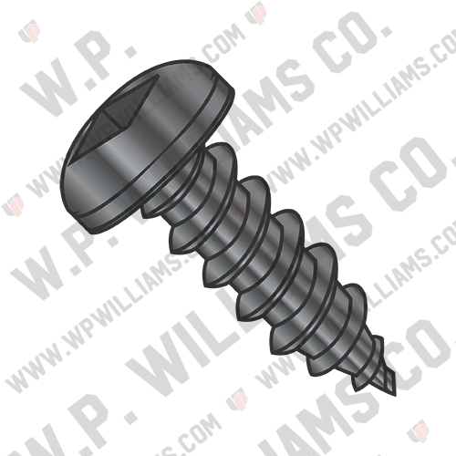 Square Pan Self Tapping Screw Type A B Fully Threaded Black Oxide and Oil