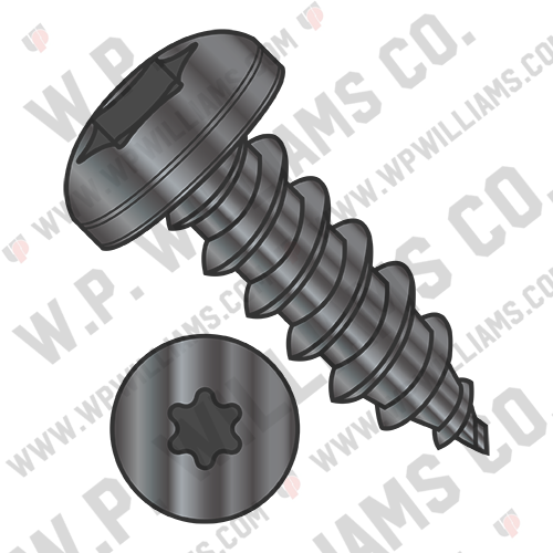 6 lobe Pan Self Tapping Screw Type A B Full Thread 18 8 Stainless Steel Black Ox