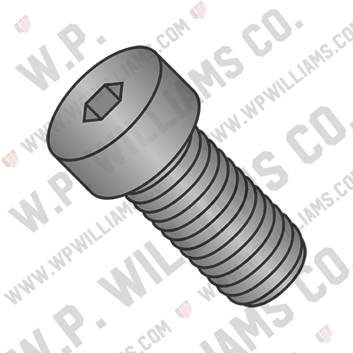 Coarse Thread Low Head Socket Cap Screw Plain