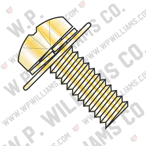JIS B1188 Phil Pan Split Washer Flat Washer Sems M/S Zinc Yellow