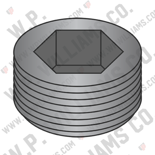 Dry Seal Socket Pipe Plug Plain