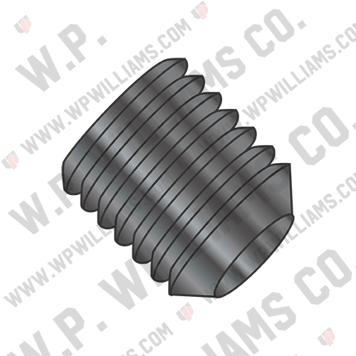 Coarse Thread Socket Set Screw Cup Black Oxide