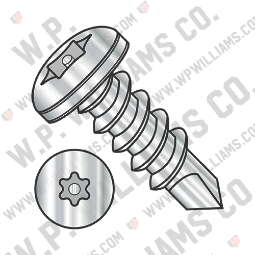 6 Lobe Pin-In Pan Head Security Screw SDS F/T 18-8 Stainless Steel Passivated